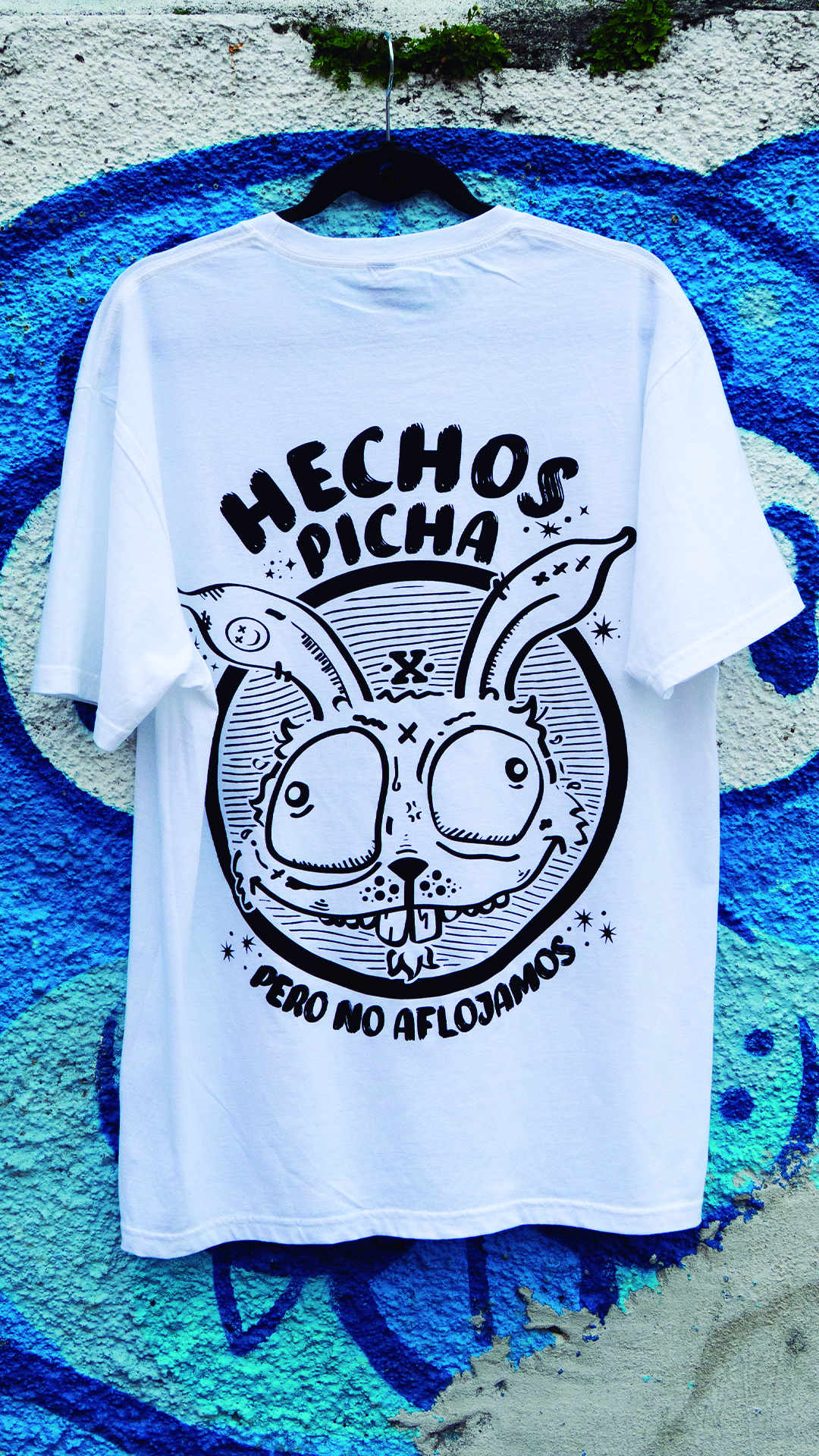 Hechos Picha