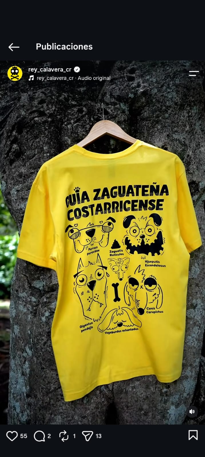Guía zaguateña